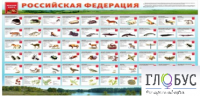 Стенд "Красная книга РФ" - «globural.ru» - Новоуральск