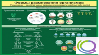 Стенд "Формы размножения организмов" - «globural.ru» - Новоуральск