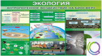 Стенд "Экология. Антропогенное воздействие на биосферу" - «globural.ru» - Новоуральск
