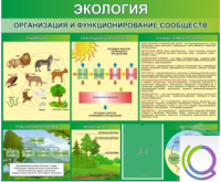 Стенд "Экология. Организация и функционирование сообществ" - «globural.ru» - Новоуральск