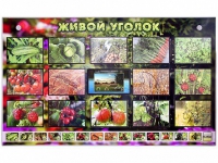Комплект оборудования "Живой уголок" (растения) с тифлопереводом и сурдокомментариями - «globural.ru» - Новоуральск