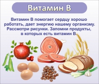 Стенд "Витамин В" - «globural.ru» - Новоуральск