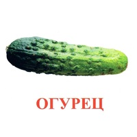 Карточки Домана "Овощи-Зелень-1" - «globural.ru» - Новоуральск