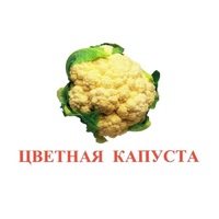 Карточки Домана "Овощи-Зелень-2" - «globural.ru» - Новоуральск