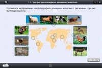 Интерактивные курсы. Биология 7 класс. Расширенный - «globural.ru» - Новоуральск