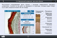 Интерактивные курсы. Биология 5 класс. Базовый  - «globural.ru» - Новоуральск