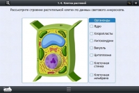 Интерактивные курсы. Биология 9 класс. Базовый - «globural.ru» - Новоуральск