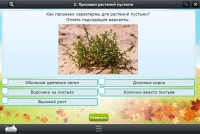 Интерактивные курсы. Окружающий мир 3 класс. Базовый - «globural.ru» - Новоуральск