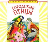 CD "Аудиоэнциклопедия. Городские птицы" - «globural.ru» - Новоуральск