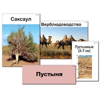 Модель-аппликация "Природные зоны России" - «globural.ru» - Новоуральск