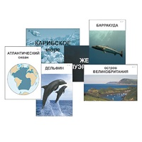 Модель-аппликация "Океаны. Знакомство" (ламинированная) - «globural.ru» - Новоуральск