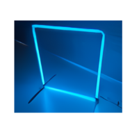 Световые ворота LS Quad 100 - «globural.ru» - Новоуральск