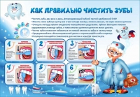 Стенд "Как правильно чистить зубы" - «globural.ru» - Новоуральск