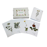 Гербарий "Жизненные формы цветковых растений" - «globural.ru» - Новоуральск