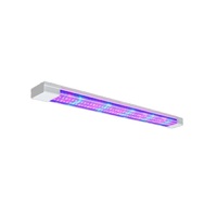 Фитолампа - «globural.ru» - Новоуральск