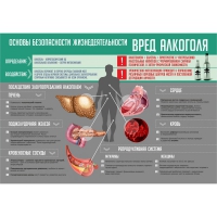 Стенд "Алкоголь" - «globural.ru» - Новоуральск
