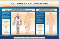 Электрифицированный стенд-тренажер "Остановка кровотечения" - «globural.ru» - Новоуральск