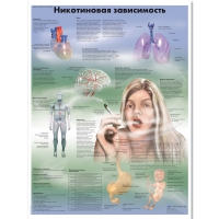 Плакат "Никотиновая зависимость", ламинированный, 50*67 см - «globural.ru» - Новоуральск
