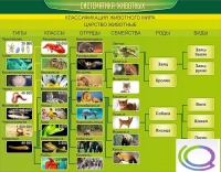 Стенд "Систематика животных" - «globural.ru» - Новоуральск