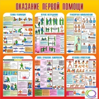 Стенд "Оказание первой помощи" - «globural.ru» - Новоуральск
