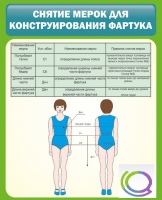 Стенд "Снятие мерок для конструирования фартука" - «globural.ru» - Новоуральск