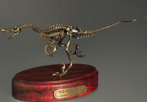 Модель скелета динозавра Velociraptor - «globural.ru» - Новоуральск