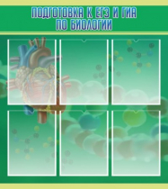 Стенд "Подготовка к ЕГЭ и ОГЭ по биологии" (вариант 1) - «globural.ru» - Новоуральск