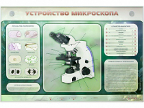 Электрифицированный стенд "Устройство микроскопа и правила работы c ним" - «globural.ru» - Новоуральск