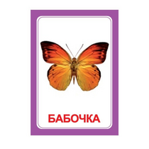 Логопедка "Ч" (логопедические карточки) - «globural.ru» - Новоуральск