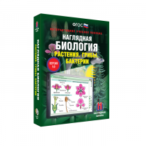 Наглядная биология. Растения. Грибы. Бактерии - «globural.ru» - Новоуральск