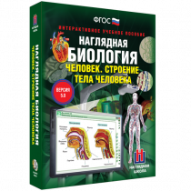 Наглядная биология. Человек. Строение тела человека - «globural.ru» - Новоуральск
