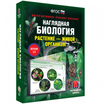Наглядная биология. Растение - живой организм - «globural.ru» - Новоуральск
