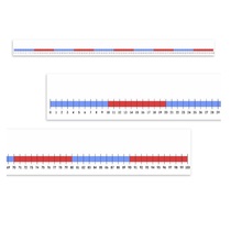 Нумирошка. Числовая прямая 0-100 по методике Нумикон - «globural.ru» - Новоуральск