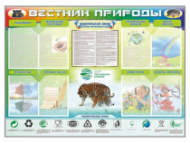 Стенд-уголок "Вестник природы" (вариант 1) - «globural.ru» - Новоуральск