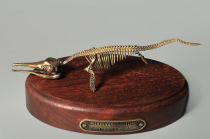 Модель скелета ихтиозавра Ichthyosaurus - «globural.ru» - Новоуральск