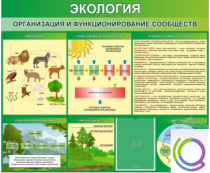Стенд "Экология. Организация и функционирование сообществ" - «globural.ru» - Новоуральск