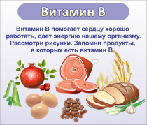 Стенд "Витамин В" - «globural.ru» - Новоуральск