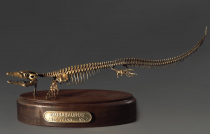 Модель скелета мозазавра Mosasaurus - «globural.ru» - Новоуральск