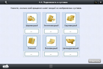 Интерактивные курсы. Биология 8 класс. Расширенный - «globural.ru» - Новоуральск