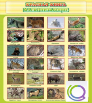 Стенд "Красная книга - млекопитающие" - «globural.ru» - Новоуральск