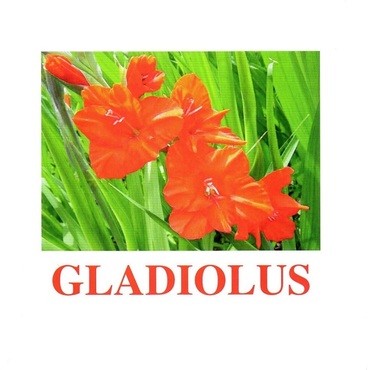 "Flowers-1" ("Цветы-1") английские карточки Домана - «globural.ru» - Новоуральск