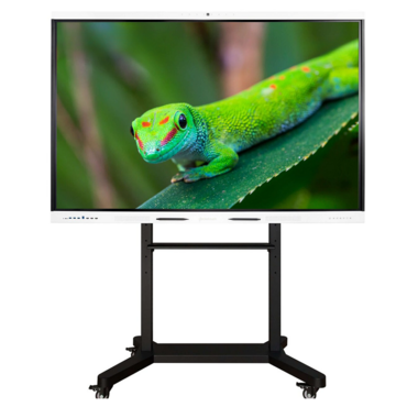 Интерактивный комплекс Geckotouch ​​​​​​​75RK - «globural.ru» - Новоуральск