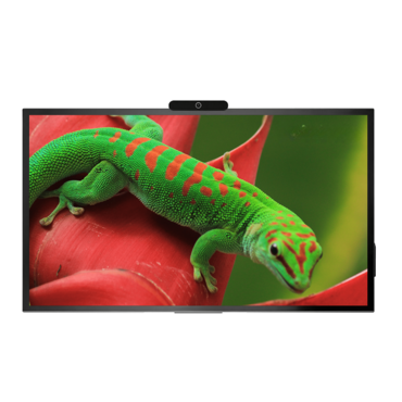 Интерактивная панель Geckotouch Interactive 65R - «globural.ru» - Новоуральск