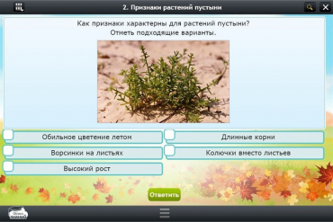 Интерактивные курсы. Окружающий мир 3 класс. Базовый - «globural.ru» - Новоуральск