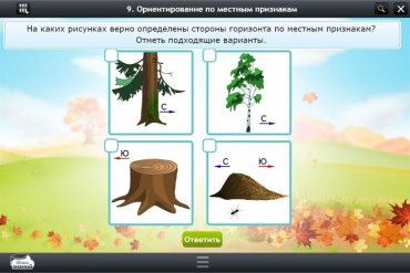 Интерактивные курсы. Окружающий мир 1 класс. Базовый - «globural.ru» - Новоуральск