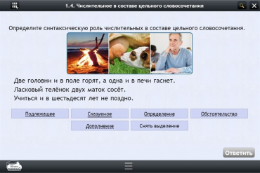 Интерактивные курсы. Русский язык 6 класс. Базовый - «globural.ru» - Новоуральск