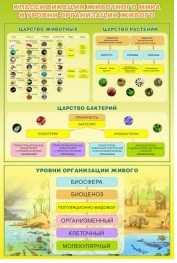 Стенд "Классификация животного мира" - «globural.ru» - Новоуральск